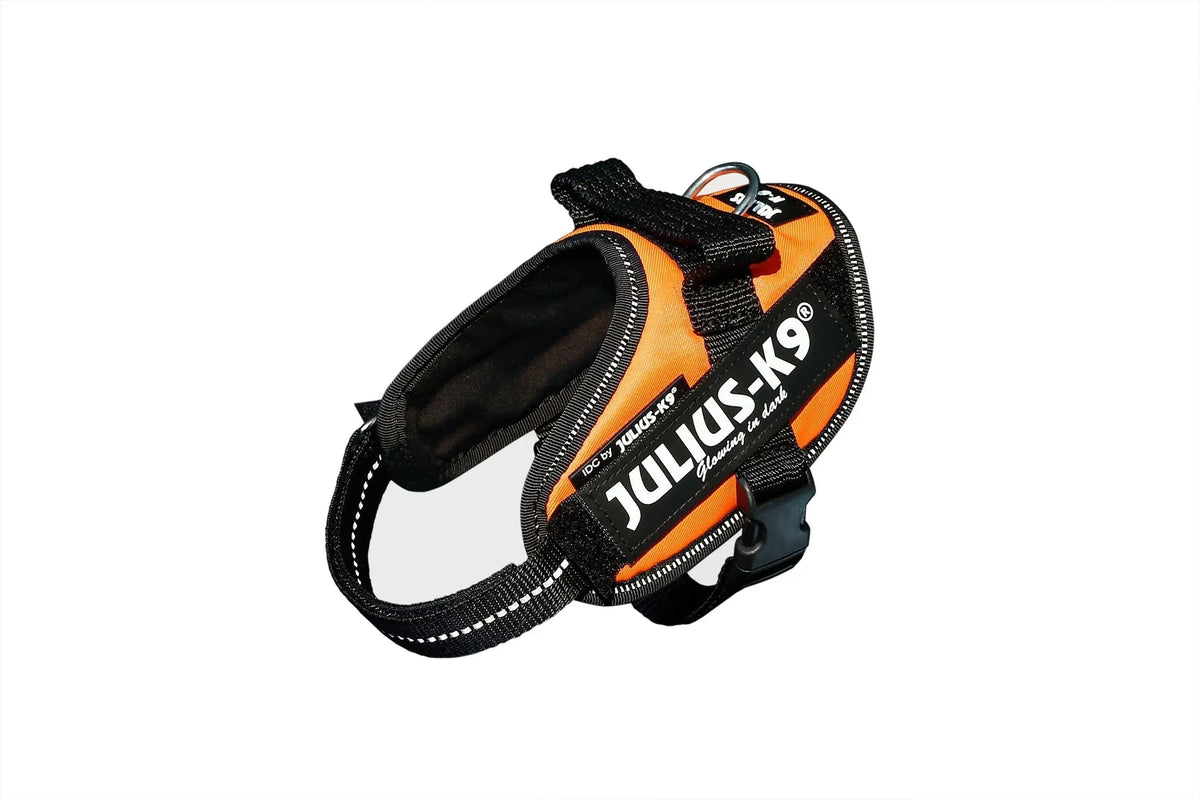 Julius-K9® IDC® Powerharness