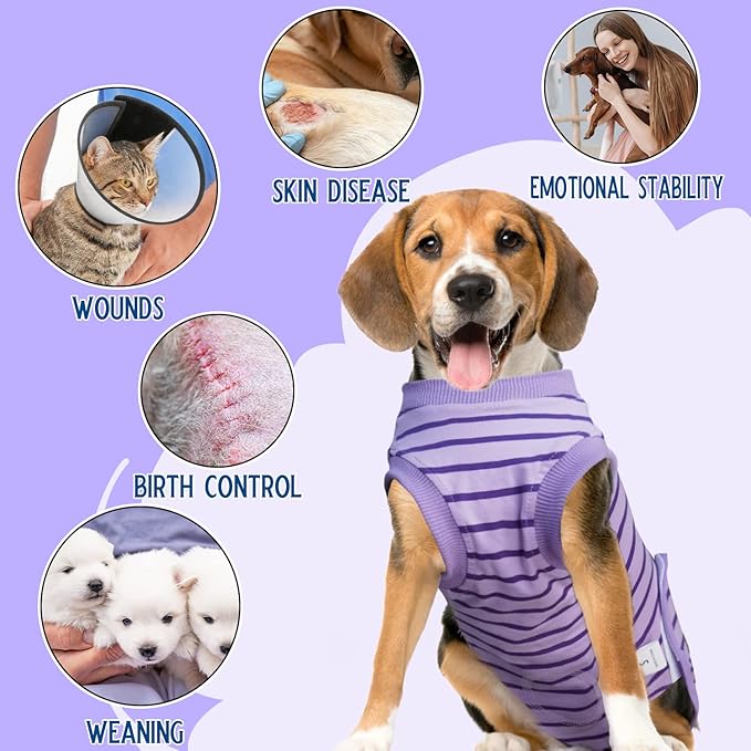 Dog Recovery Suit, Surgical Recovery Suit for Male Female Dogs Cats Spayed Onesie After Surgery, Dog Post Surgery Suit Anti Licking & Biting Surgical Shirt with Pee Hole,Purple Medium