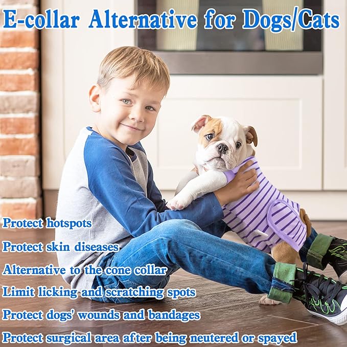 Dog Recovery Suit, Surgical Recovery Suit for Male Female Dogs Cats Spayed Onesie After Surgery, Dog Post Surgery Suit Anti Licking & Biting Surgical Shirt with Pee Hole,Purple Medium