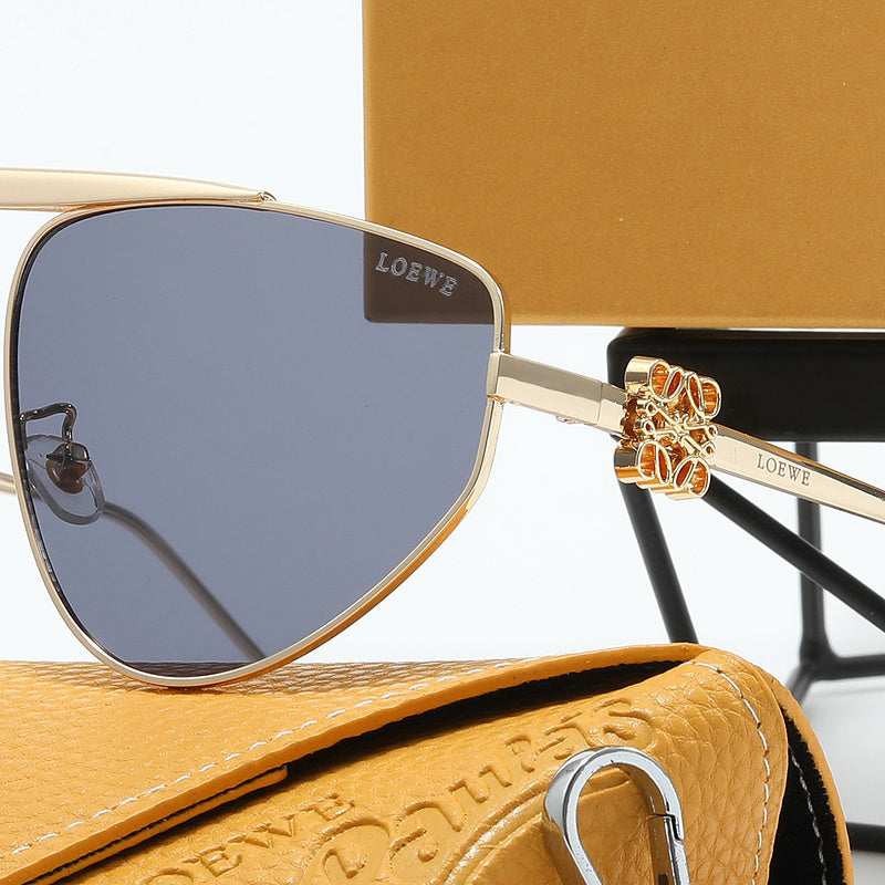 40108 Sunglasses with box
