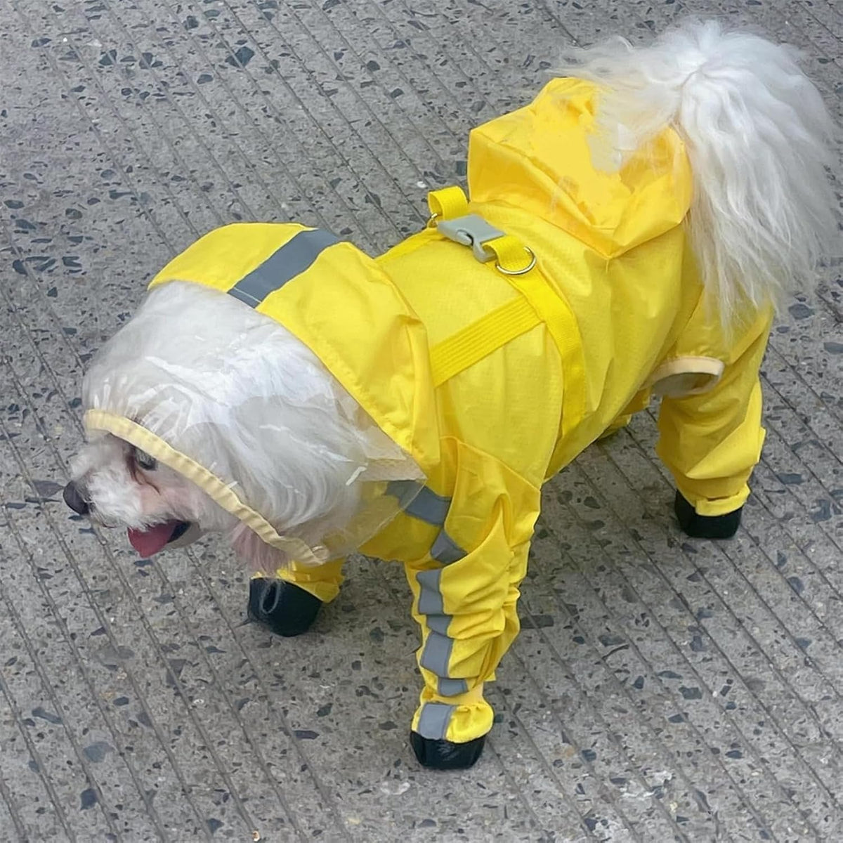 Waterproof Dog Raincoat,Full Coverage 4 Legs Dog Rain Jacket for Small Dogs,Pet Rain Coat with Hood,Reflective Strips&Leash Hole Outdoor Raincoat (Medium(for Weight 5.1-8.1 lb), Blue)