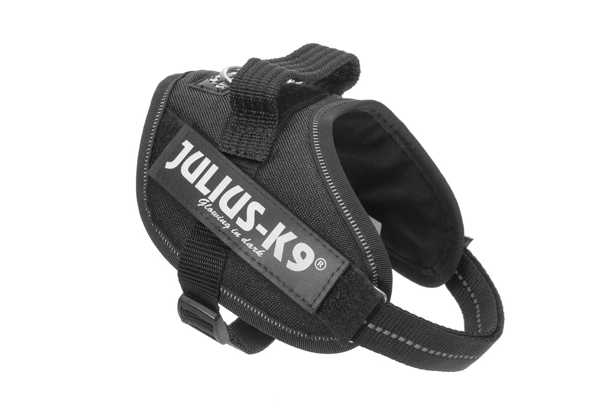 Julius-K9® IDC® Powerharness