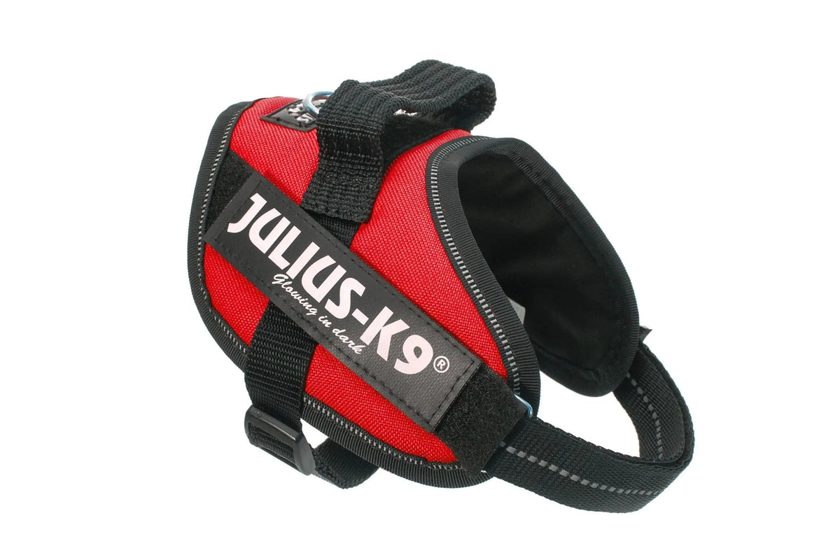 Julius-K9® IDC® Powerharness