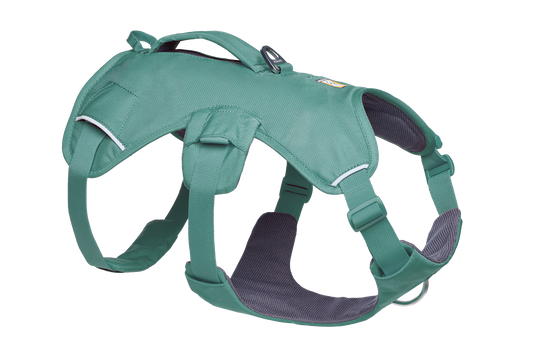 Web Master™ Dog Harness with Handle